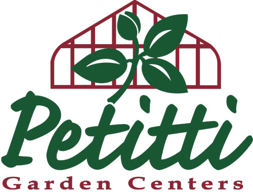 Petitti