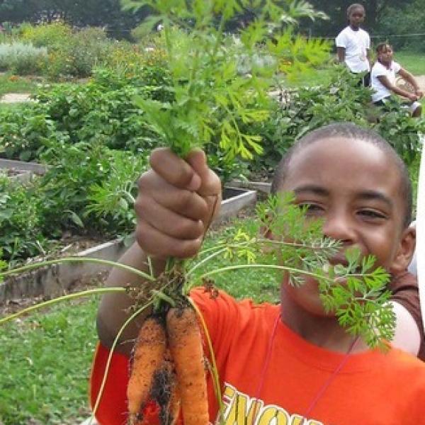 boy holding carrot